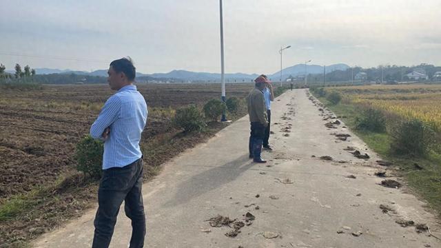 全力推动秋种季紧抓落实促丰收凯发k8国际舒城县干汊河镇：(图1)